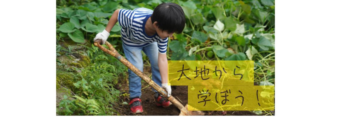 藤沢市のみかづきファームのサイトです